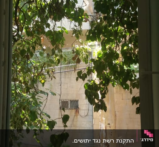 מסגרת חלון אלומיניום עם צמחייה בחוץ